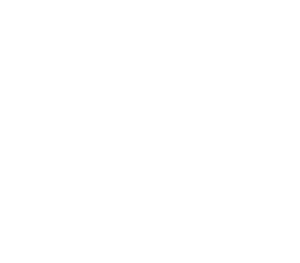 Spin & Gin Logo